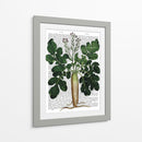 Parsnip 2 - Fab Funky | Cuadro decorativo de Canvas Lab