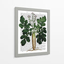 Parsnip 2 - Fab Funky | Cuadro decorativo de Canvas Lab