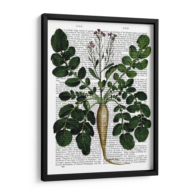 Parsnip 3 - Fab Funky | Cuadro decorativo de Canvas Lab