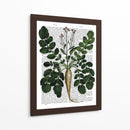 Parsnip 3 - Fab Funky | Cuadro decorativo de Canvas Lab