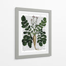 Parsnip 3 - Fab Funky | Cuadro decorativo de Canvas Lab