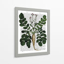 Parsnip 3 - Fab Funky | Cuadro decorativo de Canvas Lab