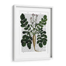 Parsnip 3 - Fab Funky | Cuadro decorativo de Canvas Lab