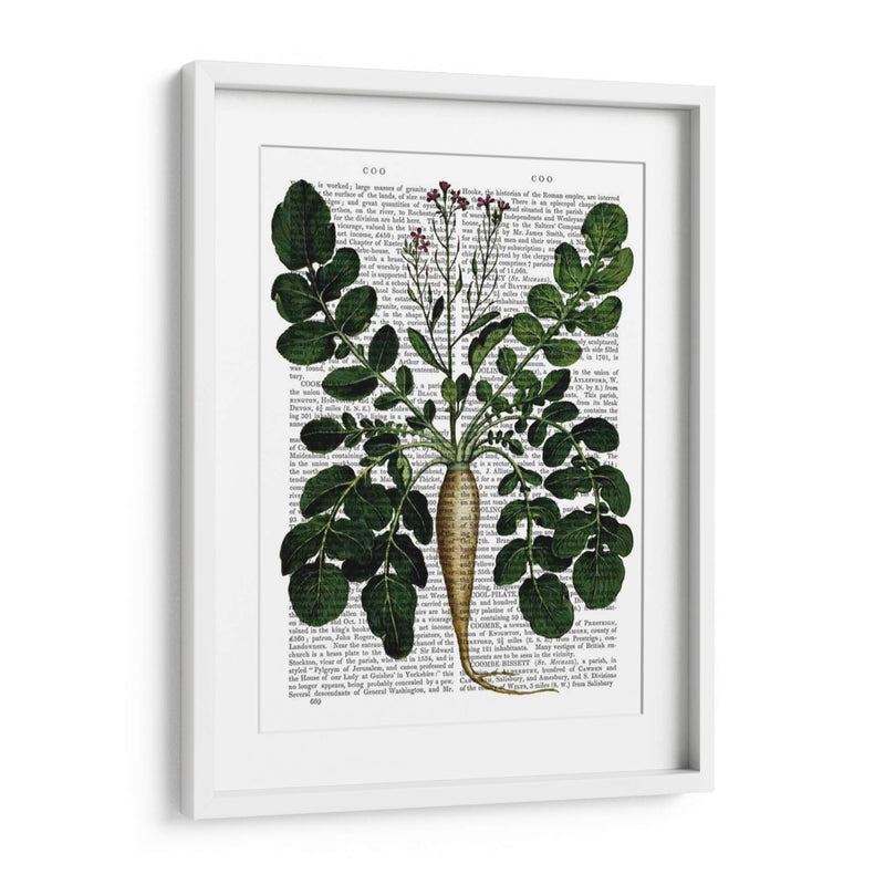 Parsnip 3 - Fab Funky | Cuadro decorativo de Canvas Lab