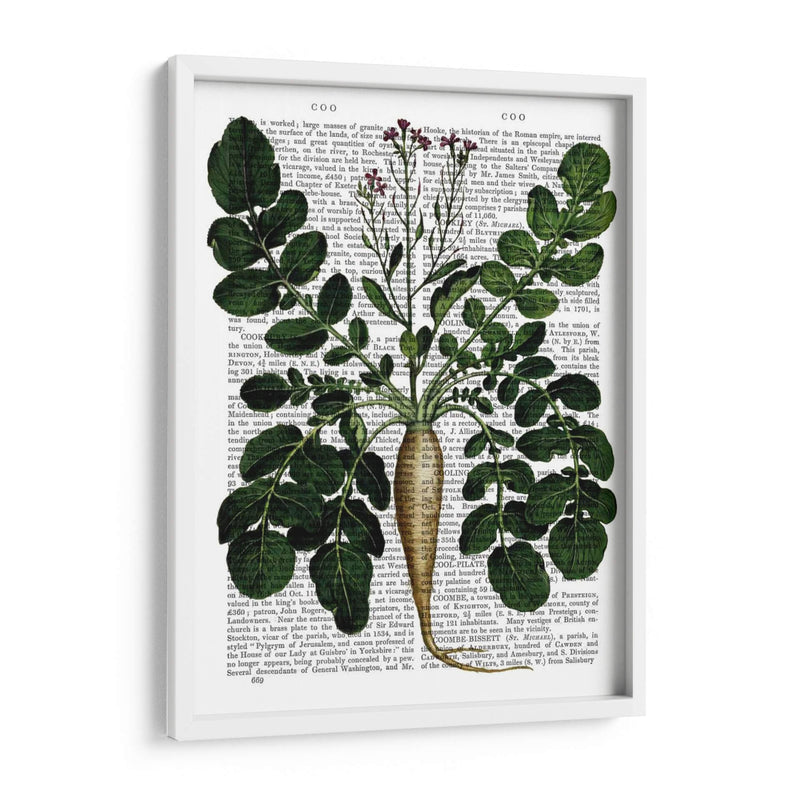 Parsnip 3 - Fab Funky | Cuadro decorativo de Canvas Lab