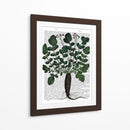 Parsnip 4 - Fab Funky | Cuadro decorativo de Canvas Lab