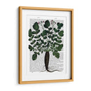 Parsnip 4 - Fab Funky | Cuadro decorativo de Canvas Lab