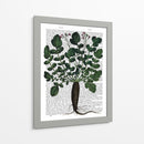 Parsnip 4 - Fab Funky | Cuadro decorativo de Canvas Lab