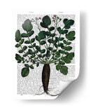 Parsnip 4 - Fab Funky | Cuadro decorativo de Canvas Lab