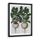 Rábanos De Impresión - Fab Funky | Cuadro decorativo de Canvas Lab