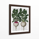 Rábanos De Impresión - Fab Funky | Cuadro decorativo de Canvas Lab