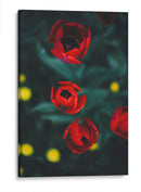 Anticipación | Cuadro decorativo de Canvas Lab