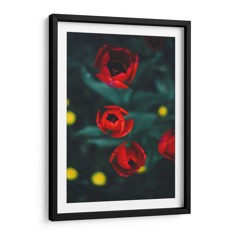 Anticipación | Cuadro decorativo de Canvas Lab