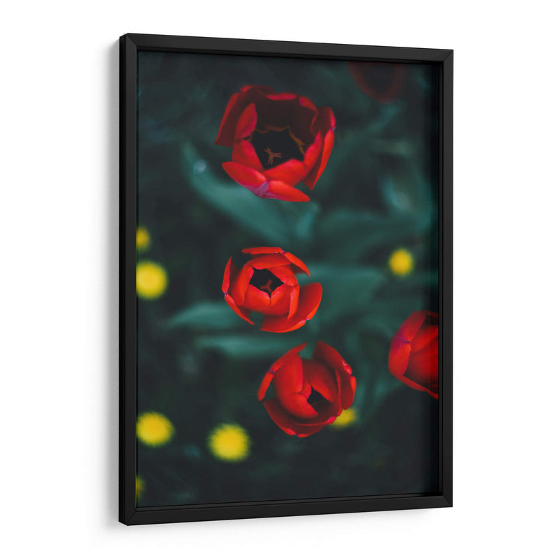 Anticipación | Cuadro decorativo de Canvas Lab