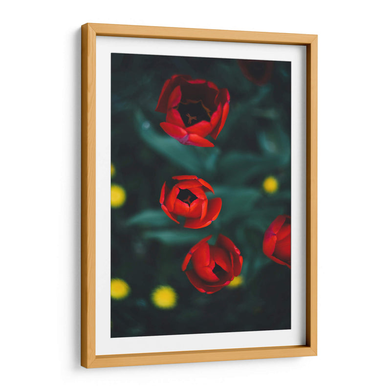 Anticipación | Cuadro decorativo de Canvas Lab