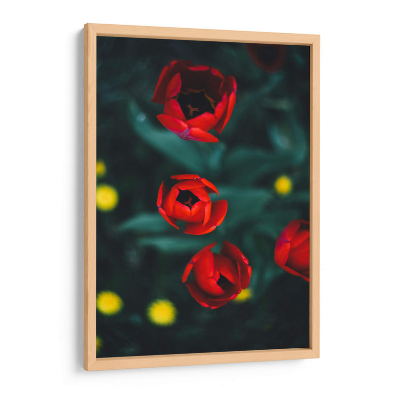 Anticipación | Cuadro decorativo de Canvas Lab