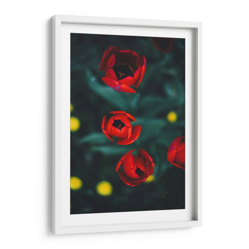 Anticipación | Cuadro decorativo de Canvas Lab