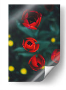 Anticipación | Cuadro decorativo de Canvas Lab