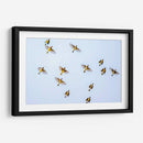 Vuelo amarillo | Cuadro decorativo de Canvas Lab