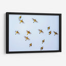 Vuelo amarillo | Cuadro decorativo de Canvas Lab