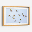 Vuelo amarillo | Cuadro decorativo de Canvas Lab