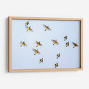 Vuelo amarillo | Cuadro decorativo de Canvas Lab