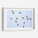Vuelo amarillo | Cuadro decorativo de Canvas Lab