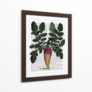 Nabo - Fab Funky | Cuadro decorativo de Canvas Lab