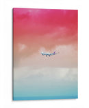 Vuelo de colores | Cuadro decorativo de Canvas Lab