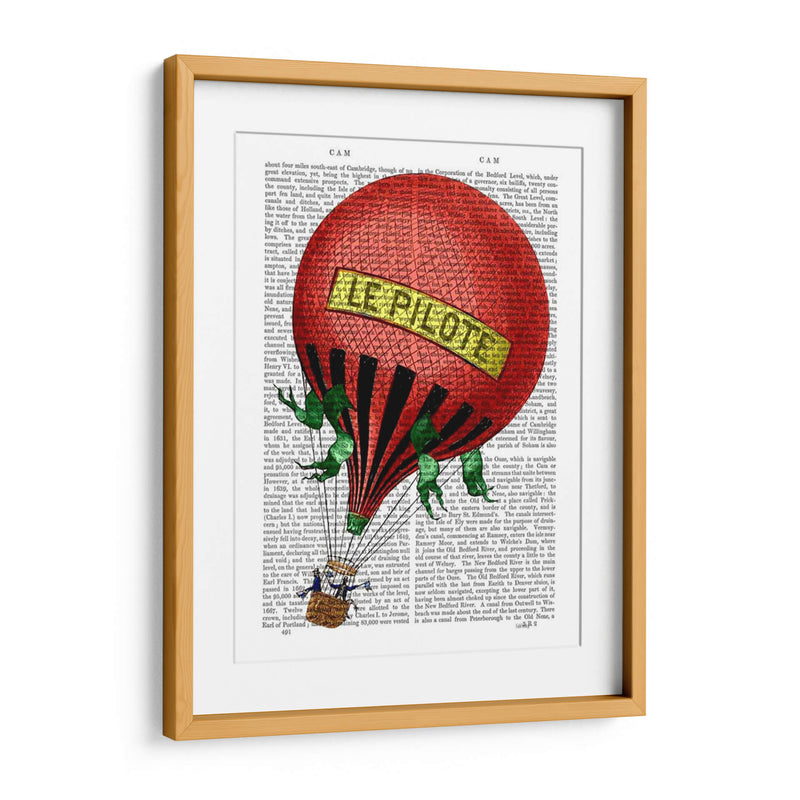 Le Pilote Globo De Aire Caliente - Fab Funky | Cuadro decorativo de Canvas Lab