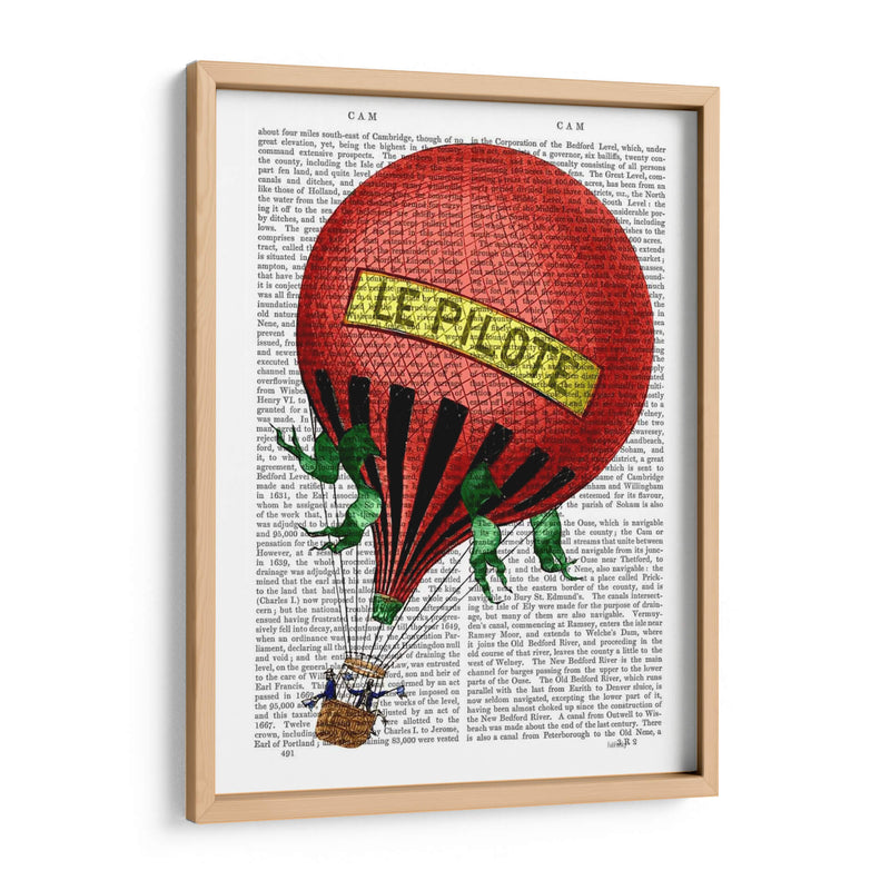 Le Pilote Globo De Aire Caliente - Fab Funky | Cuadro decorativo de Canvas Lab