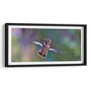 Vuelo de colibrí | Cuadro decorativo de Canvas Lab