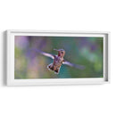 Vuelo de colibrí | Cuadro decorativo de Canvas Lab