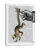 Anillo De Cola Lemur En El Dedo - Fab Funky | Cuadro decorativo de Canvas Lab