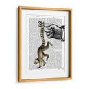 Anillo De Cola Lemur En El Dedo - Fab Funky | Cuadro decorativo de Canvas Lab