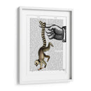 Anillo De Cola Lemur En El Dedo - Fab Funky | Cuadro decorativo de Canvas Lab