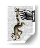 Anillo De Cola Lemur En El Dedo - Fab Funky | Cuadro decorativo de Canvas Lab