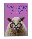 Ewe Mirándome Deniro Ovejas - Fab Funky | Cuadro decorativo de Canvas Lab
