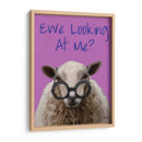 Ewe Mirándome Deniro Ovejas - Fab Funky | Cuadro decorativo de Canvas Lab