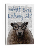 Que Oveas Mirando - Fab Funky | Cuadro decorativo de Canvas Lab