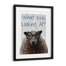 Que Oveas Mirando - Fab Funky | Cuadro decorativo de Canvas Lab