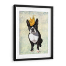 Boston Terrier Y Corona - Fab Funky | Cuadro decorativo de Canvas Lab