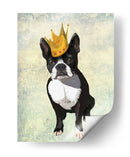 Boston Terrier Y Corona - Fab Funky | Cuadro decorativo de Canvas Lab