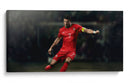 Cristiano en Portugal | Cuadro decorativo de Canvas Lab