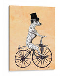 Dalmacia En Bicicleta - II - Fab Funky | Cuadro decorativo de Canvas Lab