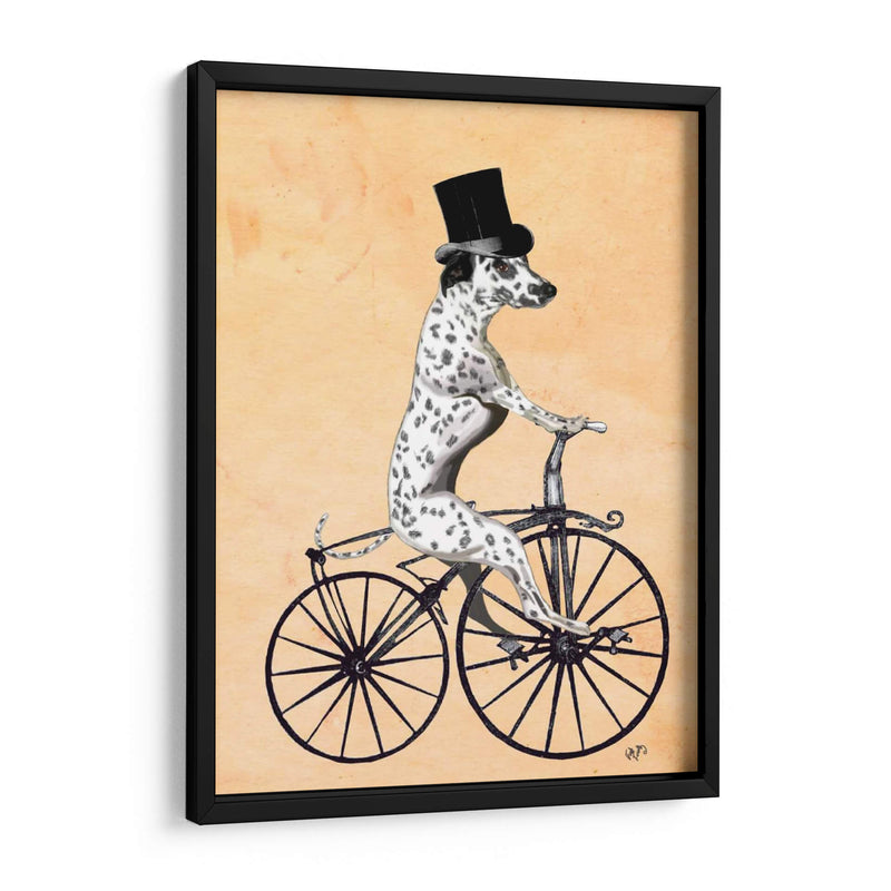 Dalmacia En Bicicleta - Fab Funky | Cuadro decorativo de Canvas Lab