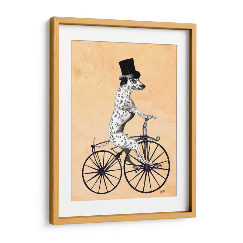 Dalmacia En Bicicleta - Fab Funky | Cuadro decorativo de Canvas Lab