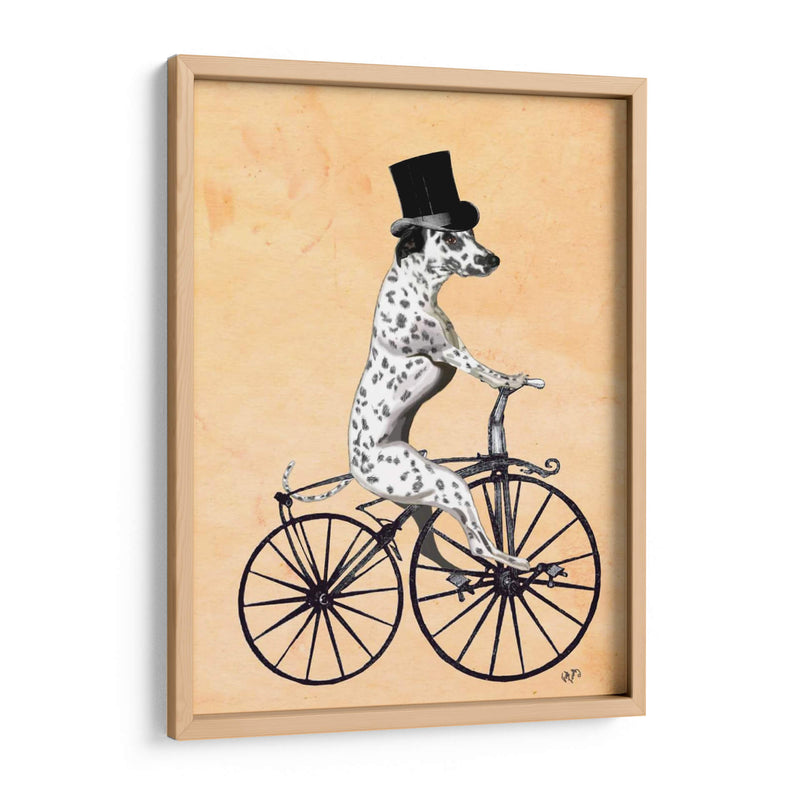 Dalmacia En Bicicleta - Fab Funky | Cuadro decorativo de Canvas Lab