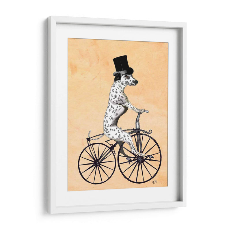 Dalmacia En Bicicleta - Fab Funky | Cuadro decorativo de Canvas Lab