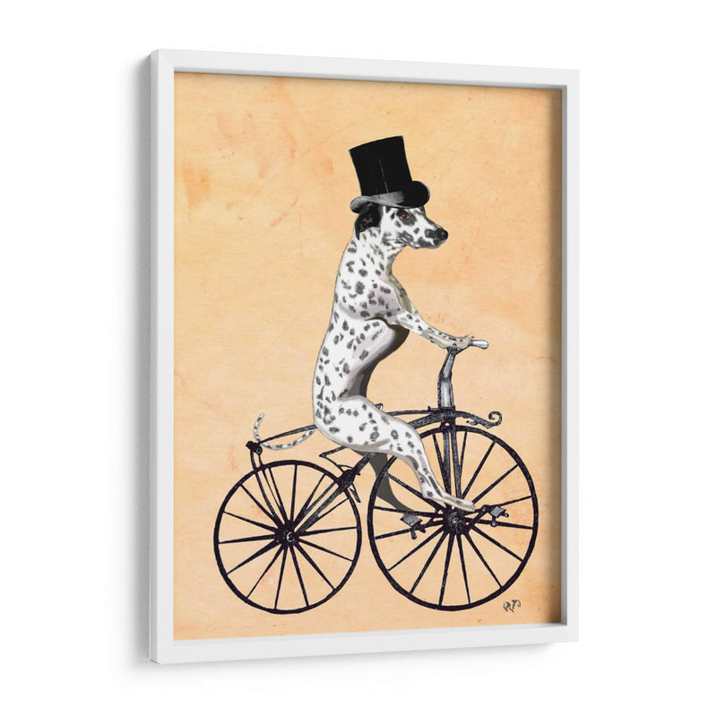 Dalmacia En Bicicleta - Fab Funky | Cuadro decorativo de Canvas Lab